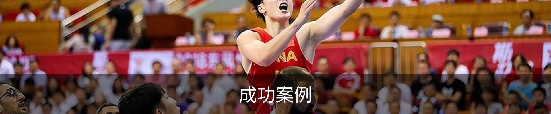 成功案例